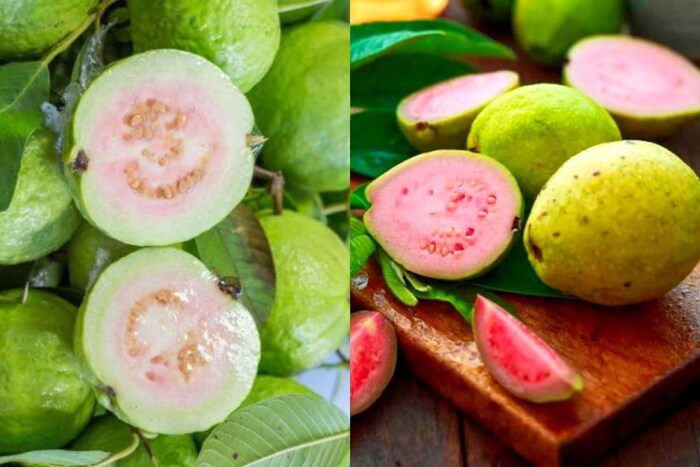 पेरू उन्हाळ्यात तुम्ही रिकाम्या पोटी पेरू खाल्ल्यास फायदा होतो. मात्र हिवाळ्यात असं करणं पोटदुखीस आमंत्रण देऊ शकतं. पचनावर परिणामही होऊ शकतो. पोटात मुरडाही येऊ शकतो.