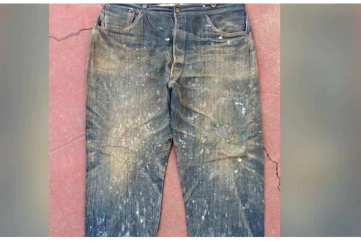 मेक्सिकोतील लिलावात तब्बल 63 लाखांना विकली गेली जीन्सची जोडी? काय आहे यामागचे कारण…