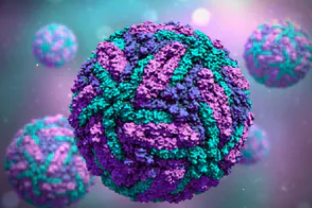 नवीन महामारीचा धोका वाढवणारा व्हायरल स्पिलओव्हर म्हणजे काय?