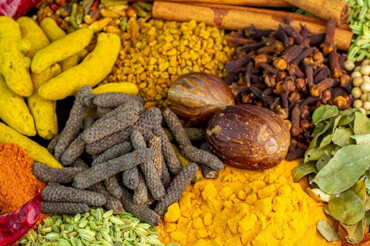 आयुष मंत्रालयाला पाठवा असे छोटे-छोटे व्हिडिओ, 75000 हजार रुपये जिंकण्याची सुवर्णसंधी