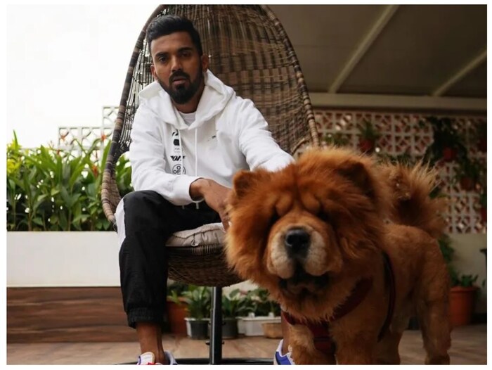 लोकेश राहुल डॉग लव्हर देखील आहे. त्याच्याकडे चाऊ चाऊ जातीचा कुत्रा आहे. ज्याची किंमत 30,00 ते एक लाख रुपये एवढी आहे.