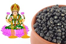 आर्थिक चणचण, कर्जाचा बोजा टाळण्यासाठी काळ्या उडीदाचे करतात हे उपाय आर्थिक चणचण, कर्जाचा बोजा टाळण्यासाठी काळ्या उडीदाचे करतात हे उपाय