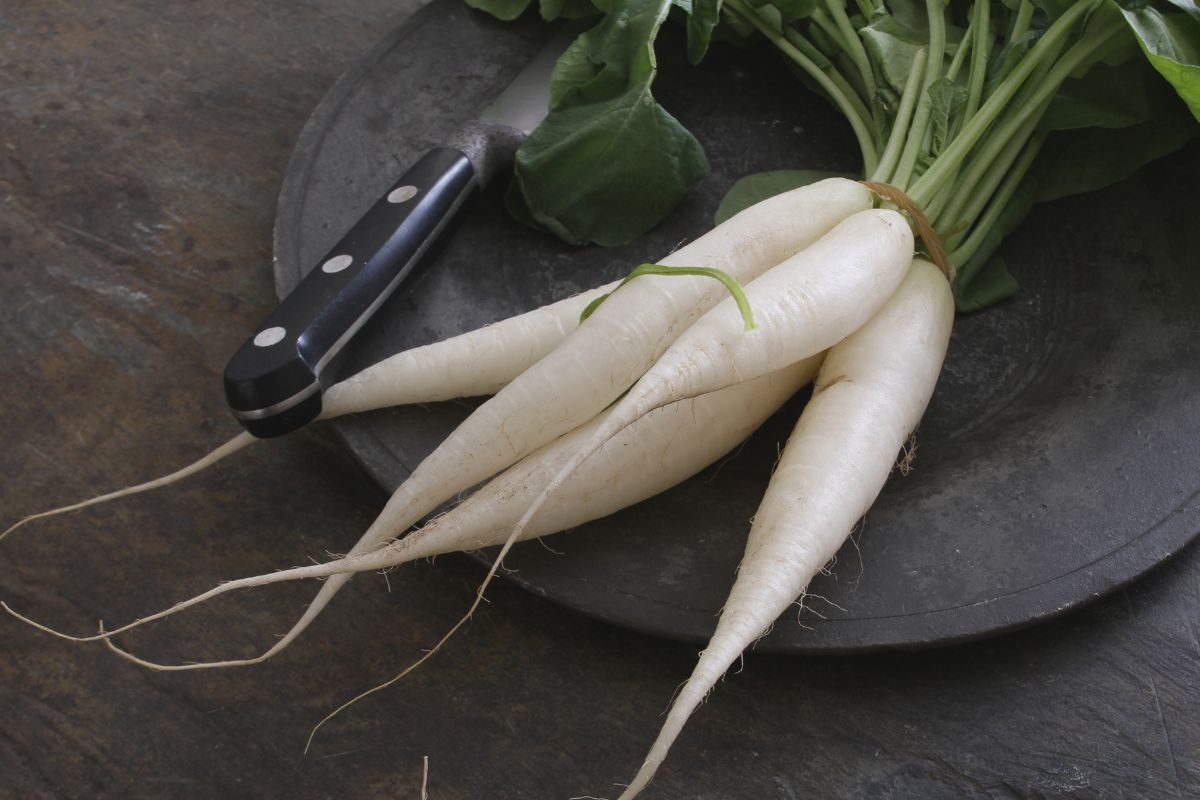 थंडीच्या हंगामात मुळा खायला विसरू नका, आरोग्याला मिळतात हे सर्व पोषक घटक