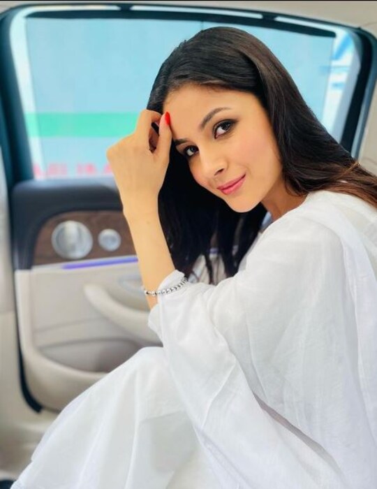  या फोटोमध्ये शहनाज गिल झाडावर बसून काहीतरी विचार करताना दिसत आहे. शहनाजच्या या गोड फोटोंचे चाहते कौतुक करत आहेत.