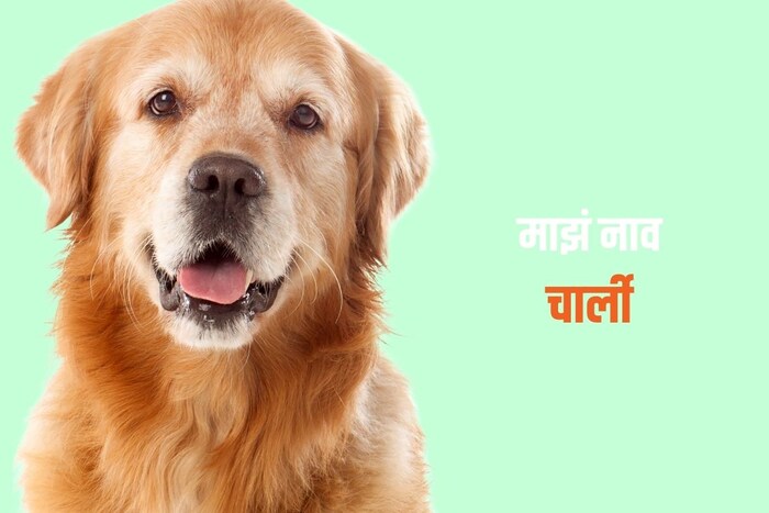 माझं नाव चार्ली