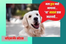Dog Names: माझं नाव..! तुमच्या पाळीव डॉगीला द्या ‘ही’ क्युट नावं