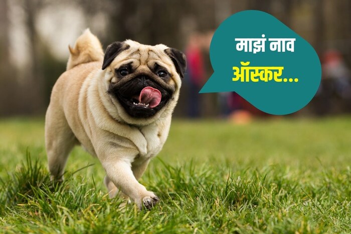 माझं नाव ऑस्कर