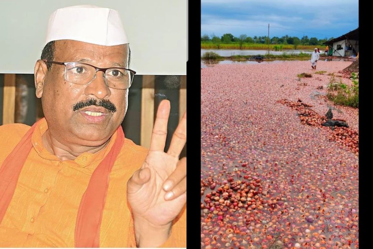 परतीच्या पावसाने शेतकऱ्यांची दयनीय अवस्था; कृषीमंत्री म्हणतात...ओला दुष्काळ नाहीच!