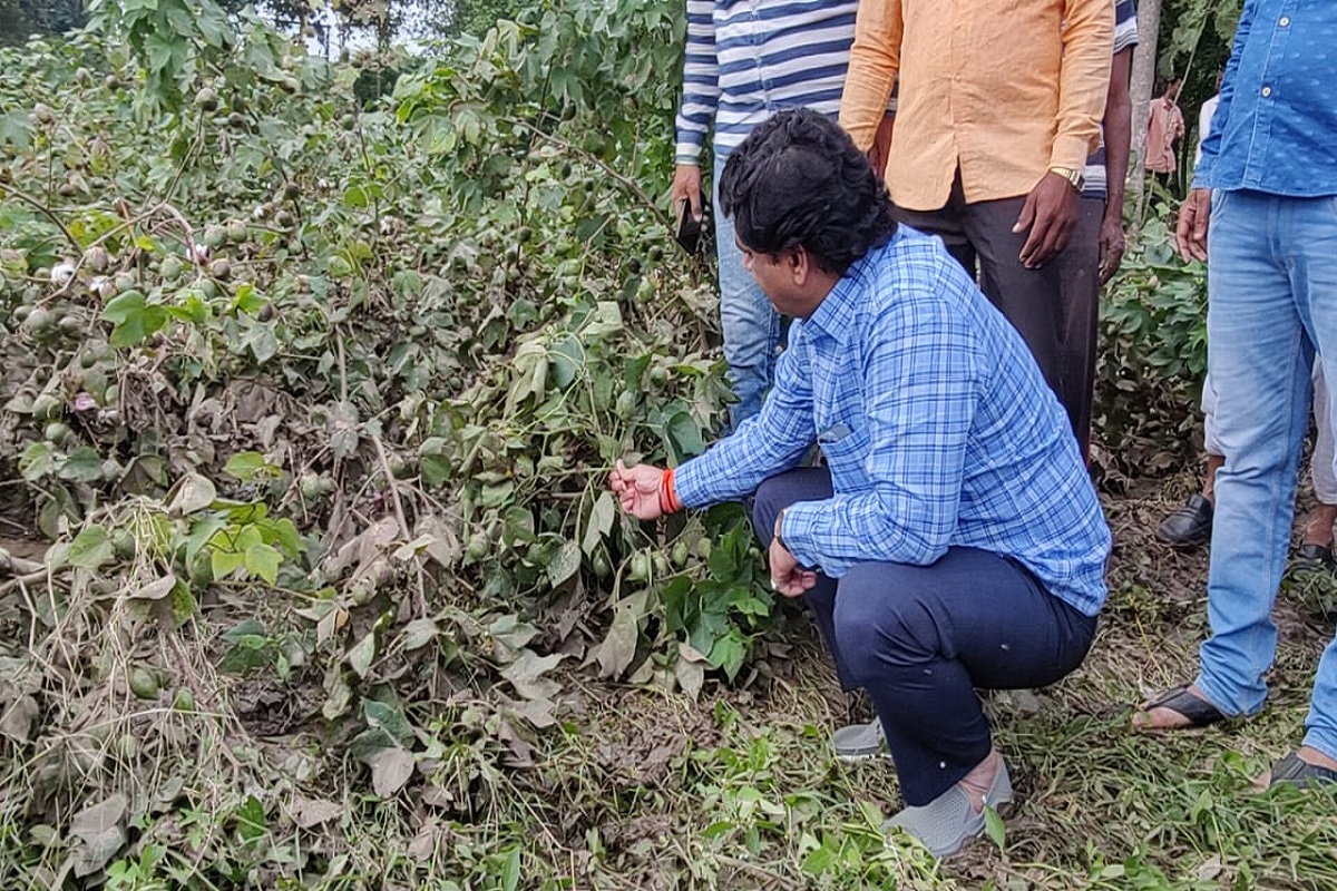 बीडच्या शेतकऱ्यांची व्यथा पाहून धनंजय मुंडे संतापले, सरकारला दिला थेट इशारा, म्हणाले...