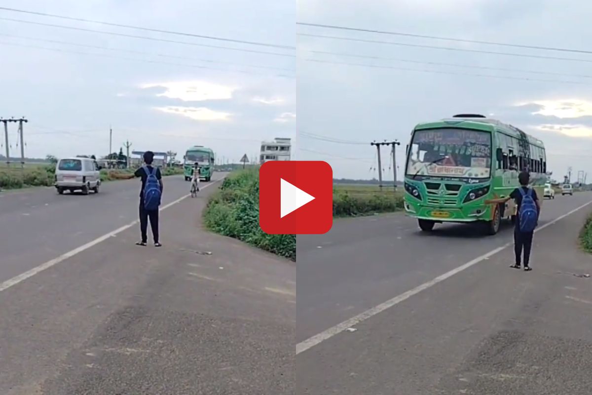 व्हायरल व्हिडीओ