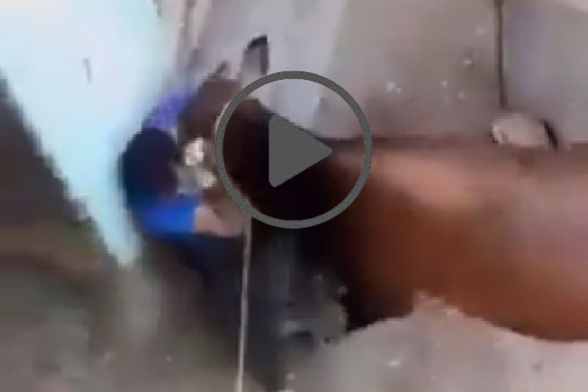 गायीने केला तरुणावर हल्ला.