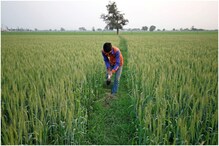 5G Launch In India : 5G नेटवर्कमुळे शेतकऱ्यांना कसा होणार फायदा?