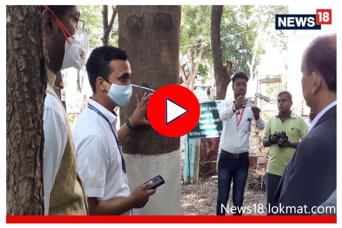 Video : वृक्ष संवर्धनाची नवी क्रांती, घरबसल्या मिळेल लावलेल्या झाडांची माहिती