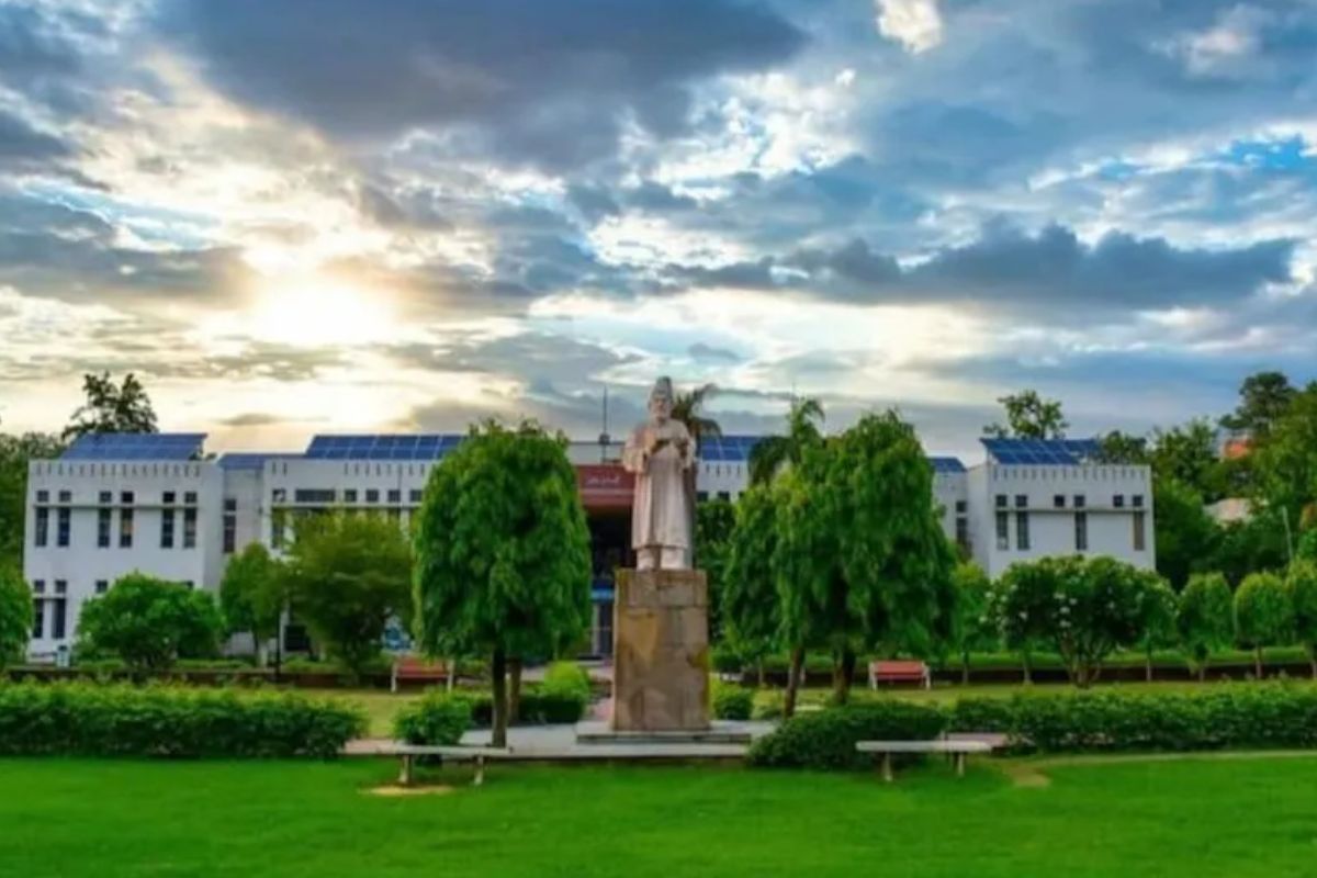 'हे' कोर्सेस करा