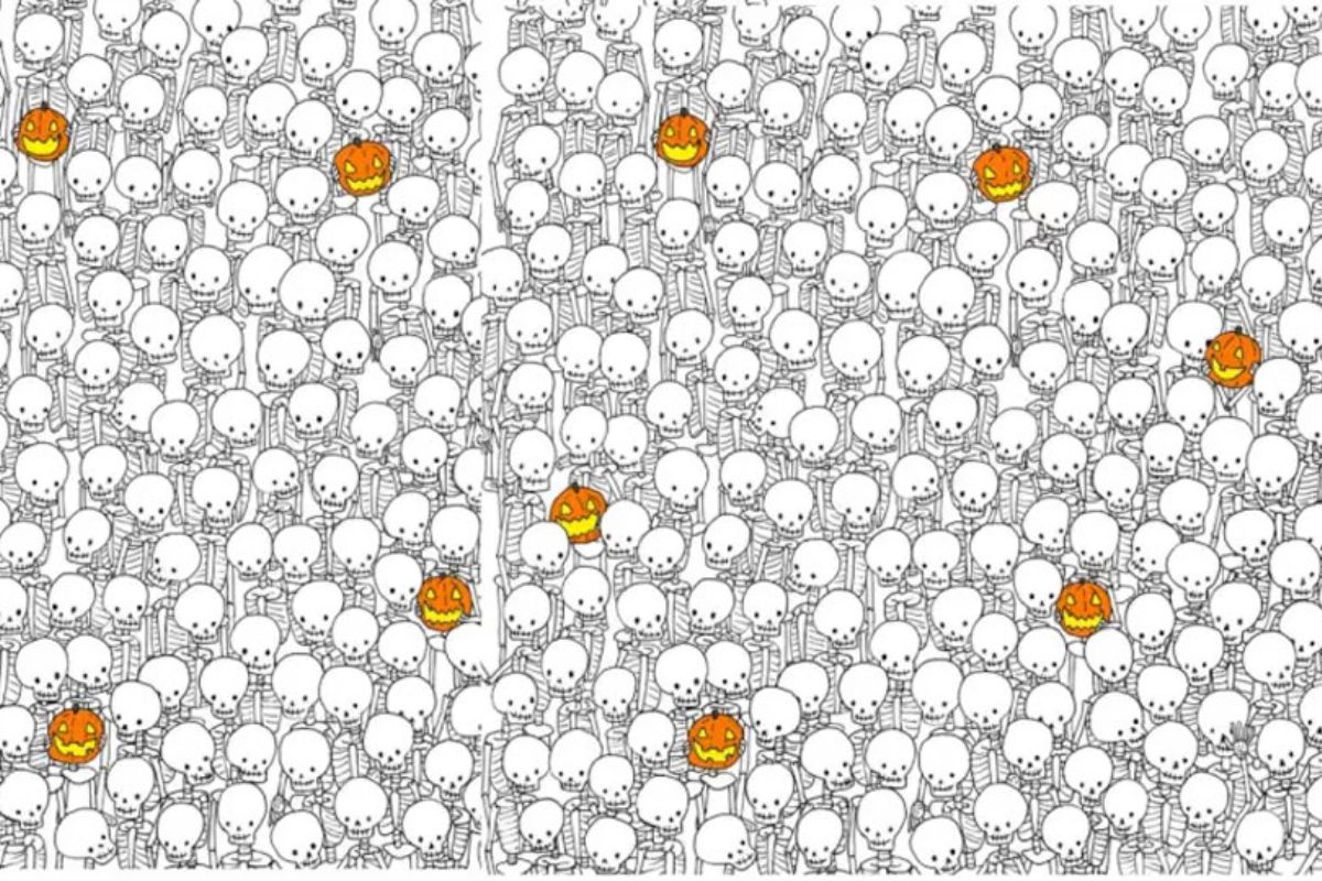 17 सेकंदात लपलेलं भूत शोधलं तर तुम्ही खरे जीनियस