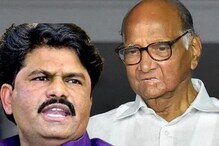 'उद्धव ठाकरे-राष्ट्रवादीचं विलिनिकरण करा अन्...', पडळकरांनी नवीन चिन्ह सांगितलं! 'उद्धव ठाकरे-राष्ट्रवादीचं विलिनिकरण करा अन्...', पडळकरांनी नवीन चिन्ह सांगितलं!