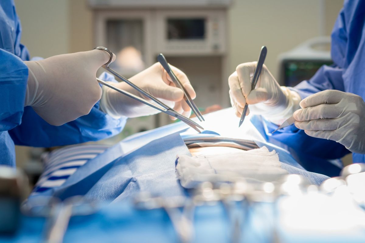 प्रतिकात्मक फोटो