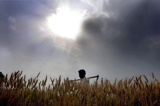 शेतकरी प्रतिकात्म फोटो