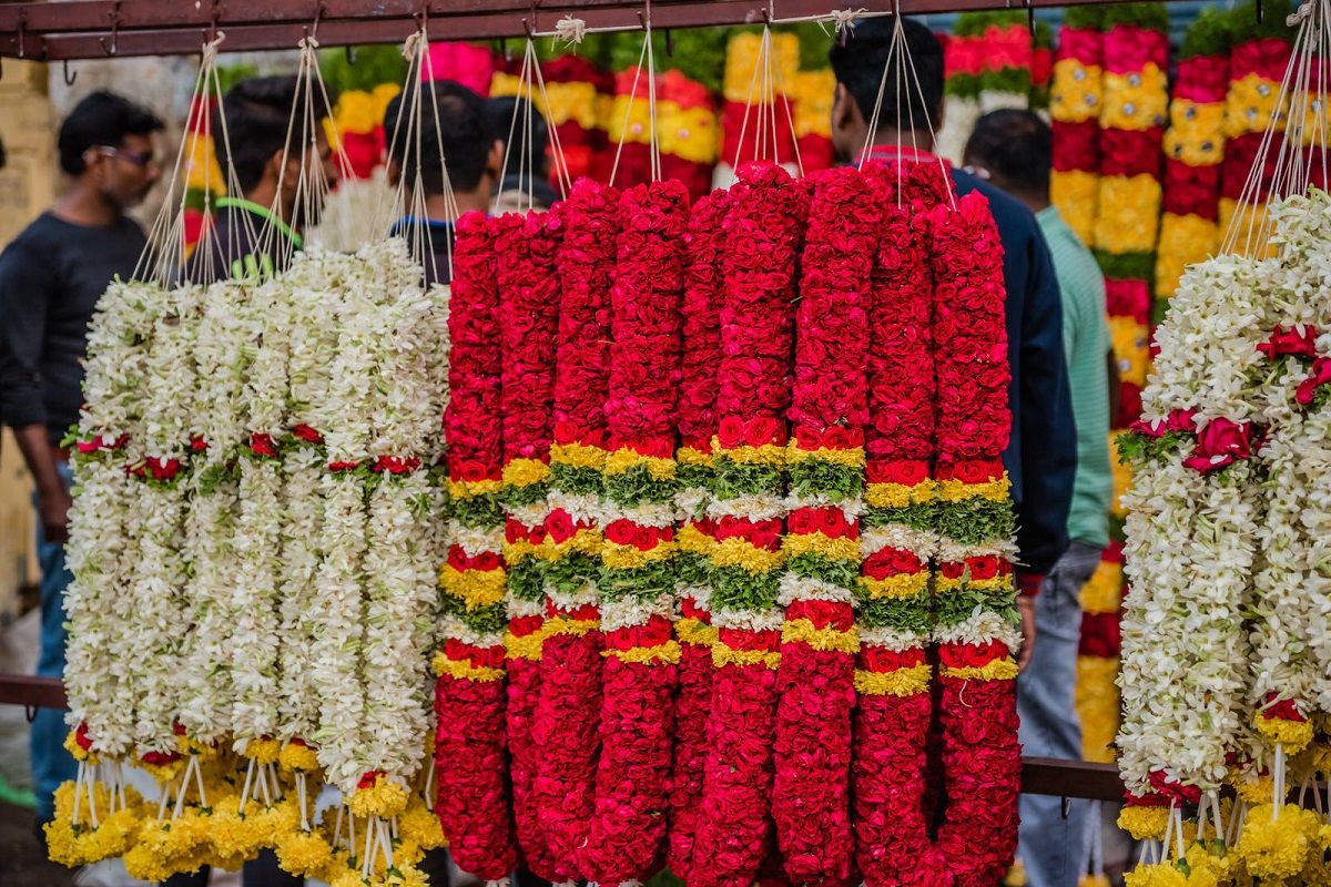 प्रतिकात्मक फोटो