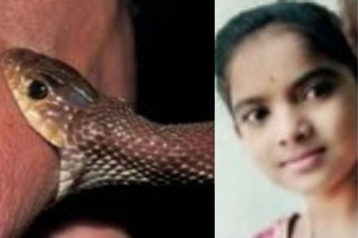 यवतमाळ : सोनं लूटून घरी आली अन् बिछान्यात घडला भयानक प्रकार, मुलीचा जागीच मृत्यू