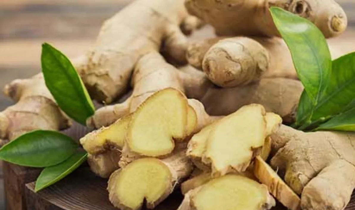 चहा ते औषध... आल्याच्या शेती म्हणजे कमी खर्च आणि बंपर कमाई, कसं समजून घ्या गणित