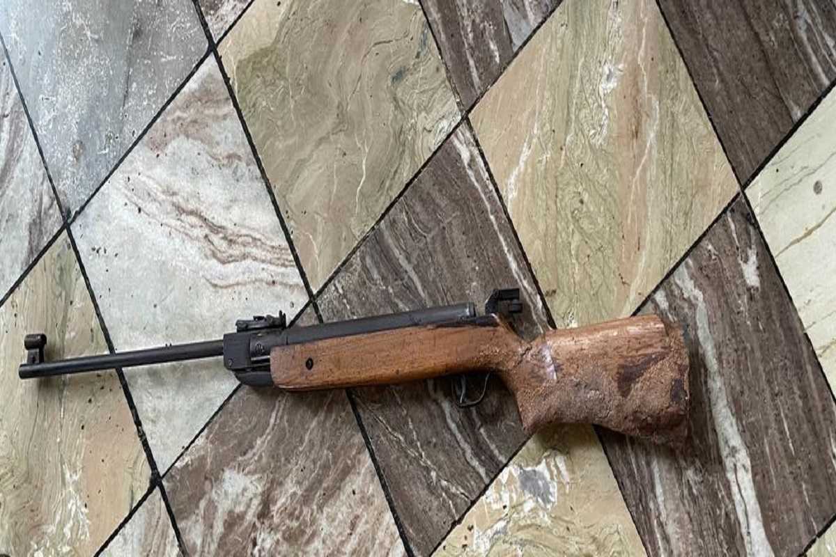 कुत्र्यावर गोळी झाडली, पण घरकाम करणाऱ्या महिलेची काय चूक? नालासोपऱ्यात खळबळ