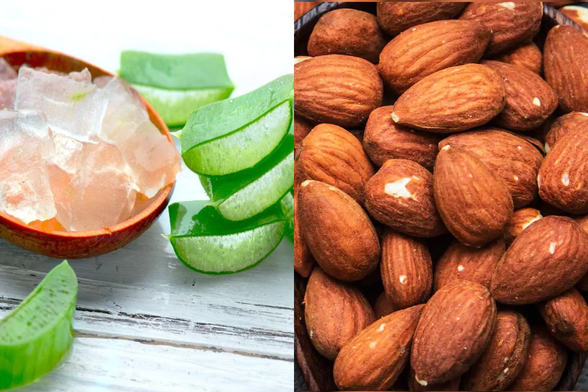 Winter Care : हिवाळ्यातील रुक्ष, कोरड्या त्वचेपासून मिळवा सुटका, अशाप्रकारे वापरा बदाम आणि कोरफड