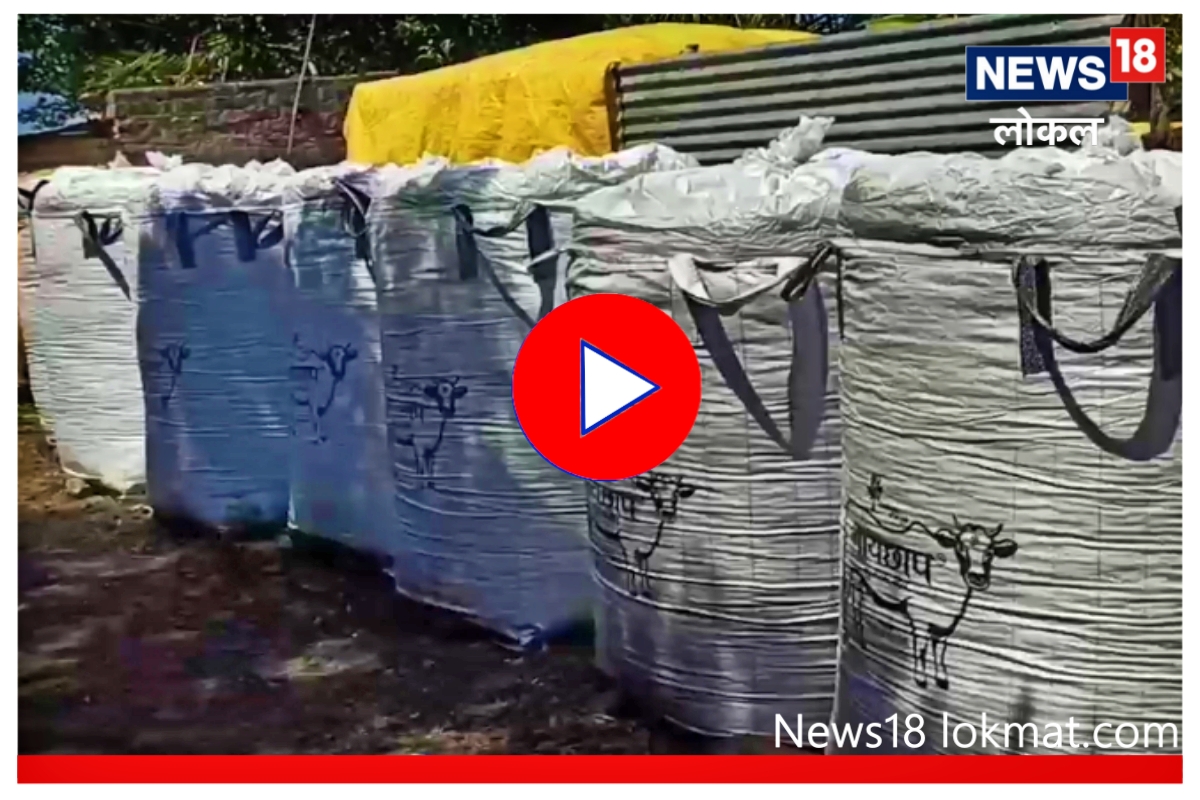 Video : शेतकऱ्यांनी मिटवला चाऱ्याचा प्रश्न, ‘या’ पद्धतीनं केली वर्षभराची साठवणूक