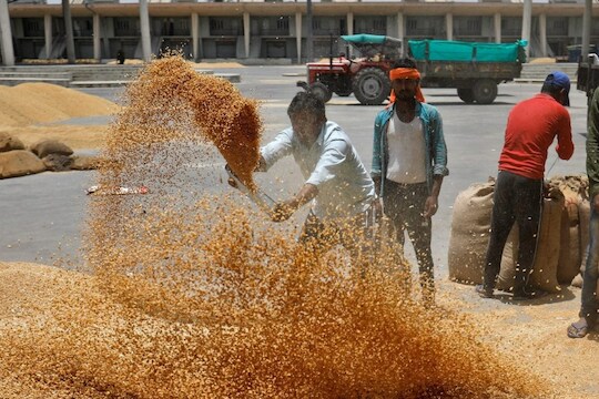 पोटालाही महागाईची झळ! सणासुदीला गव्हाचा 'भाव' वाढला, तांदळाच्या किंमती घसरल्या