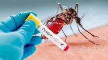 Beed Dengue : बीड जिल्ह्यात डेंग्युचे थैमान 5 वर्षीय चिमुकलीचा मृत्यू