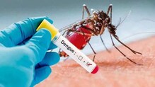 Beed Dengue : बीड जिल्ह्यात डेंग्युचे थैमान 5 वर्षीय चिमुकलीचा मृत्यू Beed Dengue : बीड जिल्ह्यात डेंग्युचे थैमान 5 वर्षीय चिमुकलीचा मृत्यू