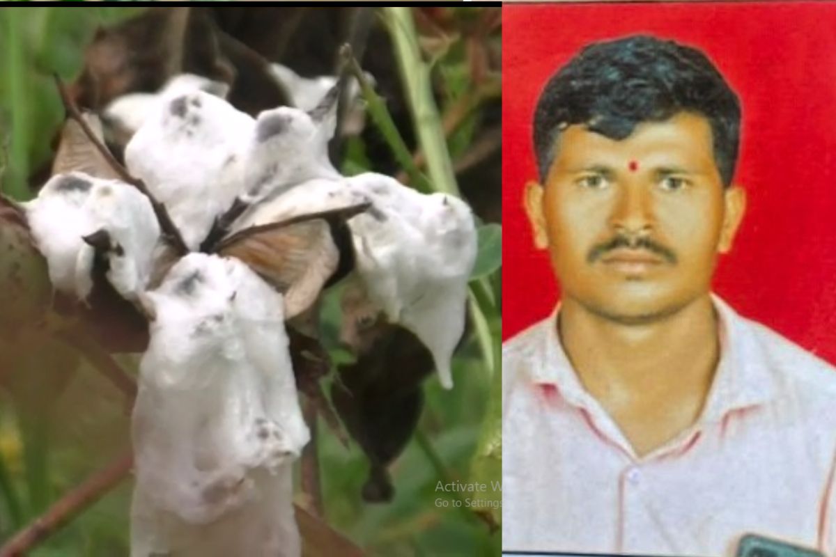 अतिवृष्टी आणि परतीचा पावसाने नुकसान झाल्याने शेतकरी हवालदील झाले आहे. हातातोंडाशी आलेले पिक पाण्यात गेल्यामुळे शेतकऱ्यांपुढे