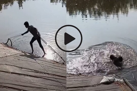 तलावातून कोब्रा सापाचं रेस्क्यू.