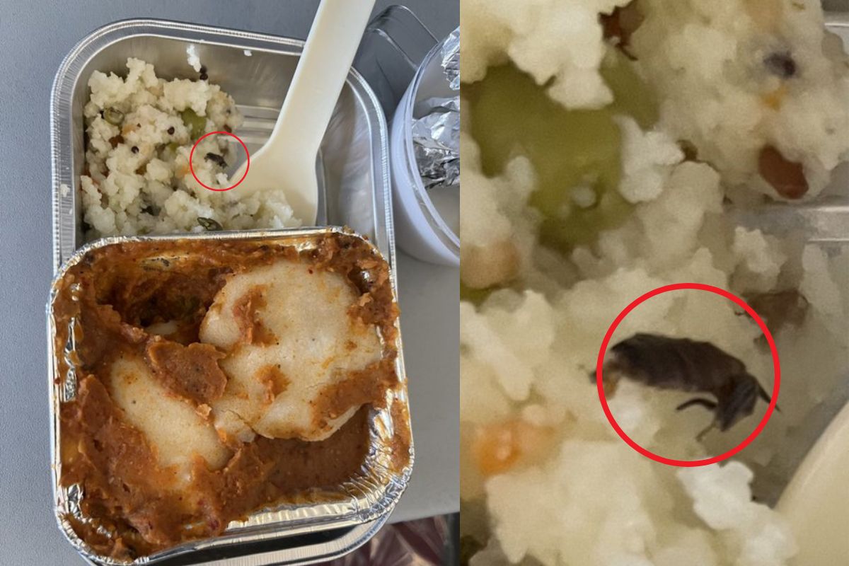 व्हायरल फोटो