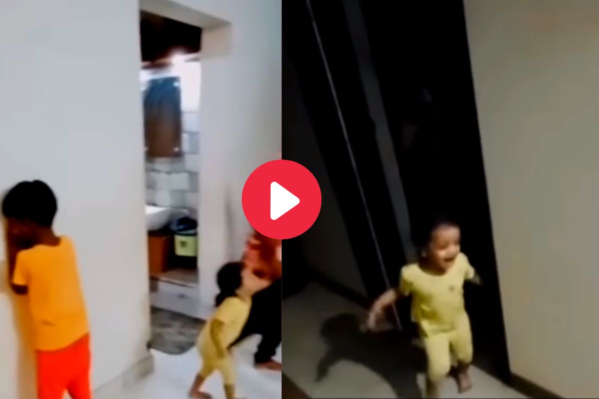 व्हायरल व्हिडीओ