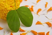 आज छत्रयोगासह 6 शुभ योगांमध्ये आहे दसरा, विजयादशमीला या 4 गोष्टी नक्की करा आज छत्रयोगासह 6 शुभ योगांमध्ये आहे दसरा, विजयादशमीला या 4 गोष्टी नक्की करा
