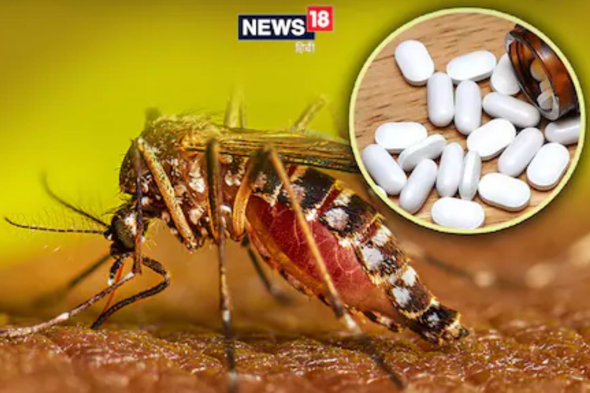 Dengue Treatment : फक्त एक रुपयात बरा होईल डेंग्यू; डॉक्टरांनीच दिला उपचार