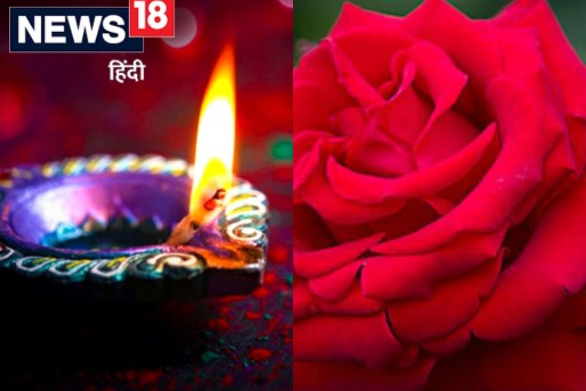 Diwali 2022 : गुलाबाचं एक फूल करेल तुमच्या आर्थिक समस्या दूर; धनत्रयोदशीच्या दिवशी करा हा उपाय