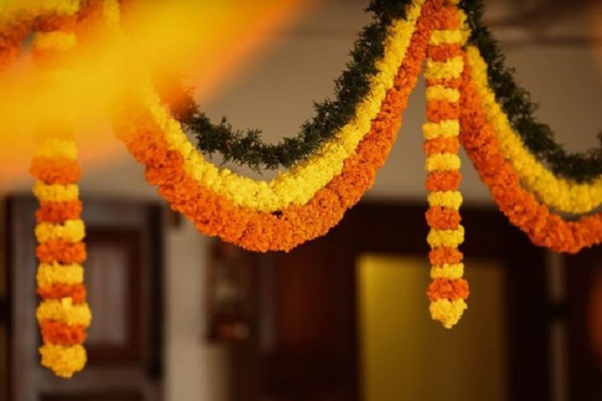 Diwali 2022 : दिवाळीला घरीच बनवा सुंदर तोरण, तेही कमी खर्चात-सोप्या पद्धतीने; पाहा VIDEO