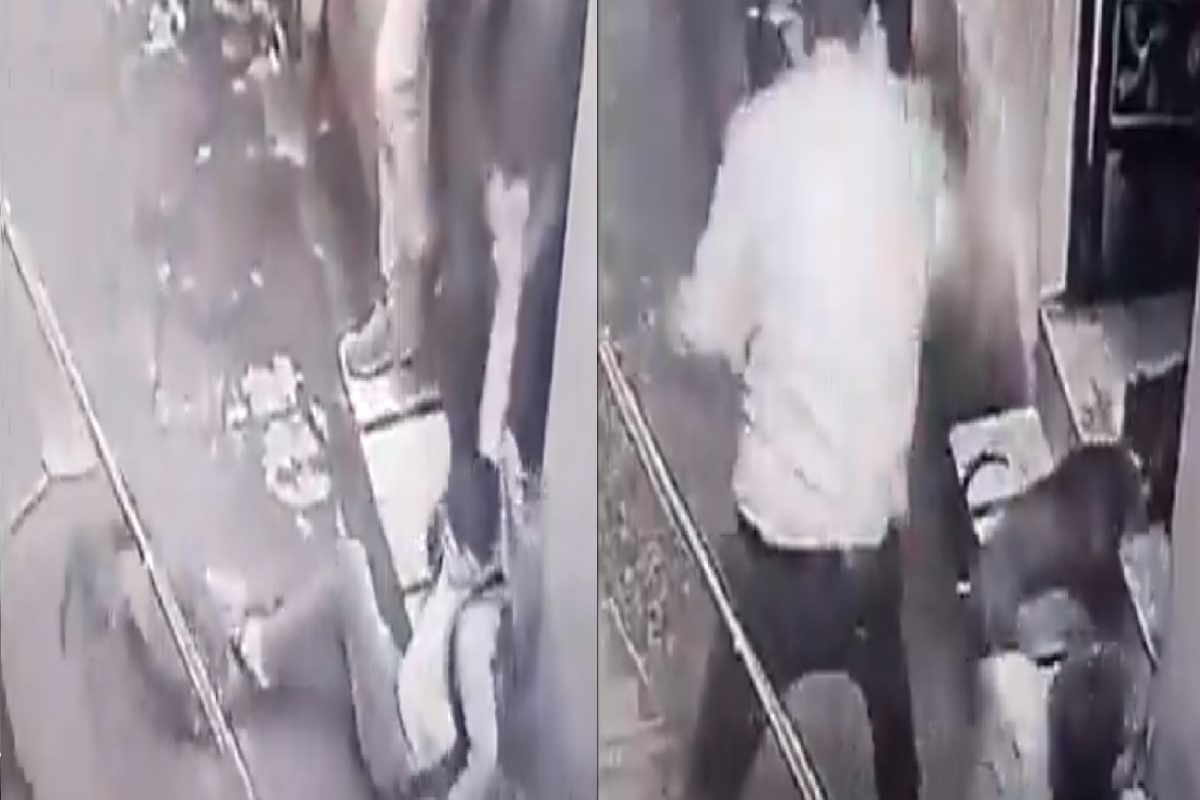 कुत्र्याचा मुलावर हल्ला.