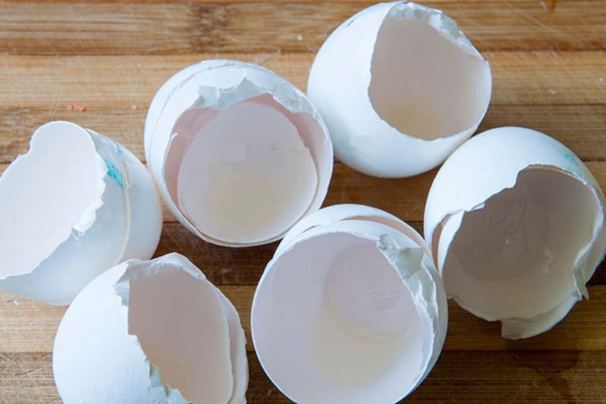 इतर कॅल्शियमयुक्त पदार्थांपेक्षा अंड्याच्या शेलमध्ये जास्त कॅल्शियम असते. ते त्वचा आणि आरोग्यासाठी उपयुक्त आहे. कारण त्यात कॅल्शियम कार्बोनेट, प्रथिने, मॅग्नेशियम आणि सेलेनियम असतात.