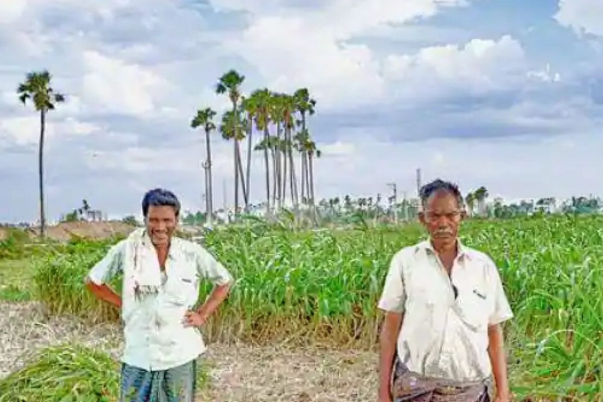 PM Kisan Yojana: या शेतकऱ्यांच्या खात्यात येणार नाही योजनेचा निधी; काय आहे कारण?