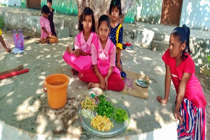 बागेतील भाजीपाल्याचा शालेय पोषण आहारात उपयोज केला जातो. मागील दोन वर्षांपूर्वी लागवड केलेल्या या बागेसाठी 35 हजारांचा खर्च आला आहे. हा खर्च शाळा आणि ग्रामपंचायतीने मिळून केला असल्याचे मुख्याध्यापक सांगतात.