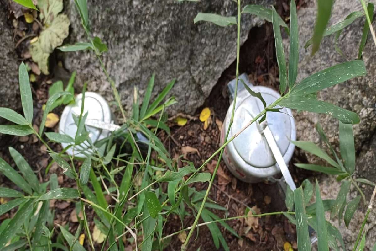 गडचिरोलीत माओवाद्यांचा मोठा घातपाताचा कट उधळला, घटनास्थळावरचा पाहा VIDEO