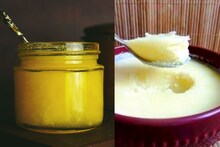 गाय आणि म्हशीच्या तुपामध्ये कोणतं जास्त फायद्याचं? काय सांगतात एक्पर्ट्स, वाचा