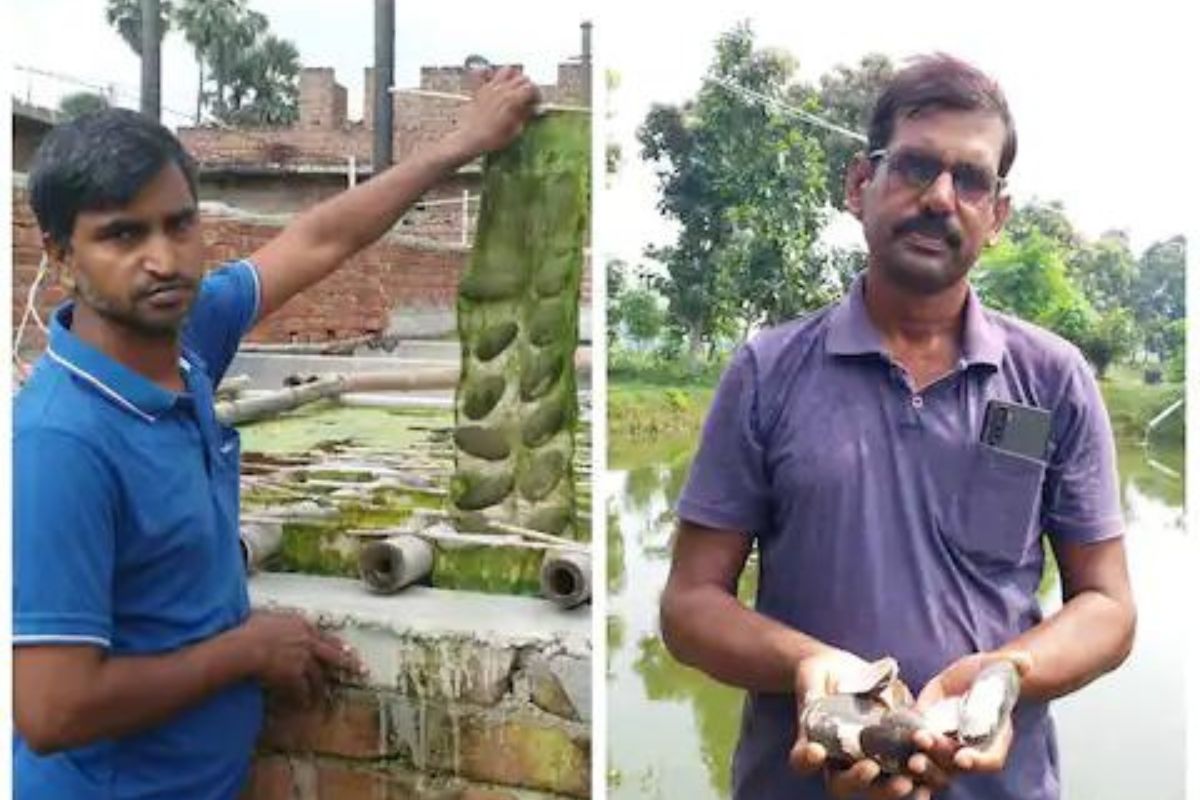 Success Story : कोरोना काळात झाला बेरोजगार; दोन्ही मोतीशेती करुन झाले पर्ल किंग, लाखोंची होतेय कमाई