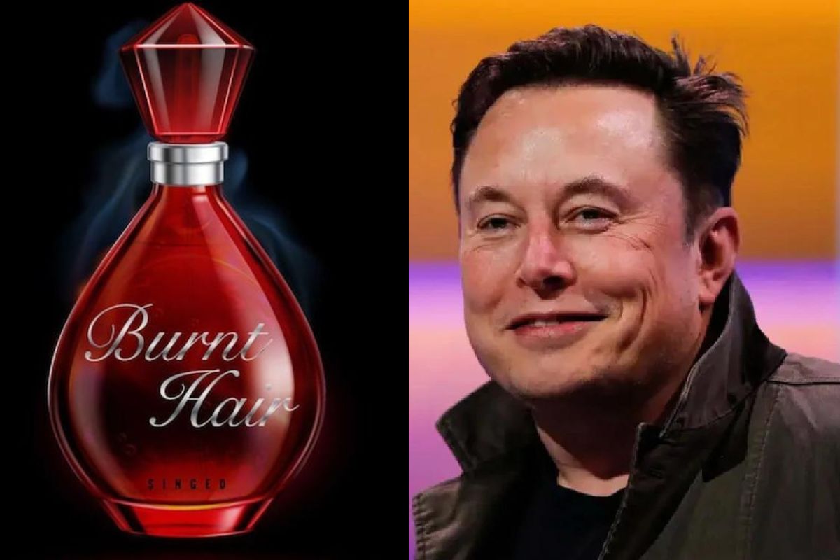 टेस्लाचे सीईओ एलॉन मस्क बनले सेल्समन! म्हणाले, 'माझं परफ्यूम खरेदी करा, मला ट्विटर खरेदी करायचंय'