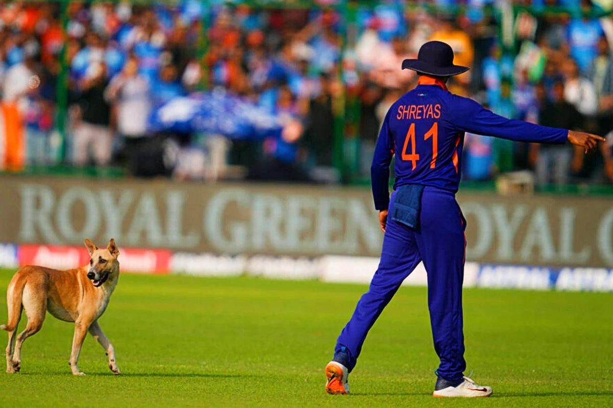 मैदानात श्वानाचं आगमन