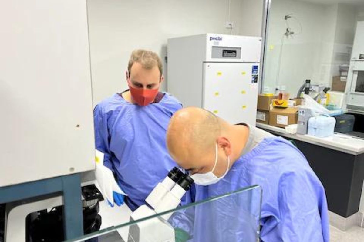 प्रयोगशाळेत ब्रेन सेल्सची निर्मिती