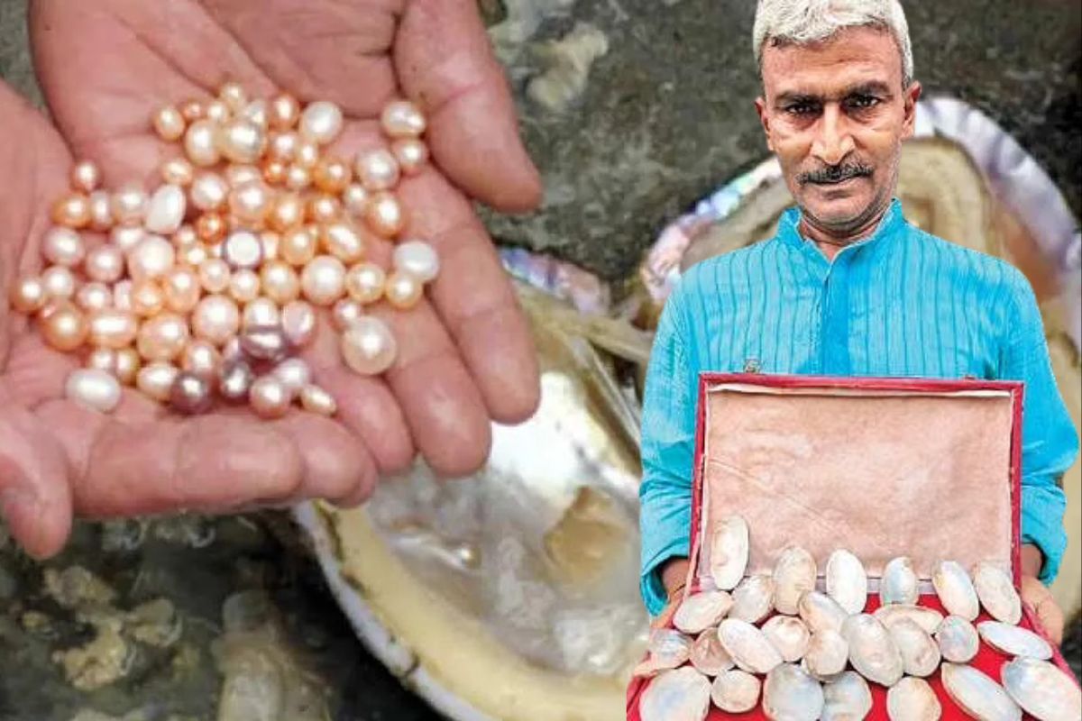 जय शंकर कुमार